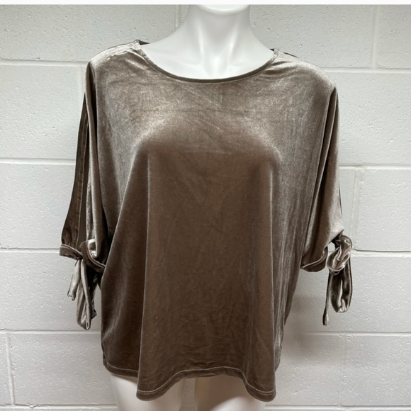 Simply Styled Tops - Simply Styled Tan Velvet Top
